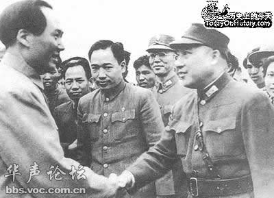 zhangzhen-mao