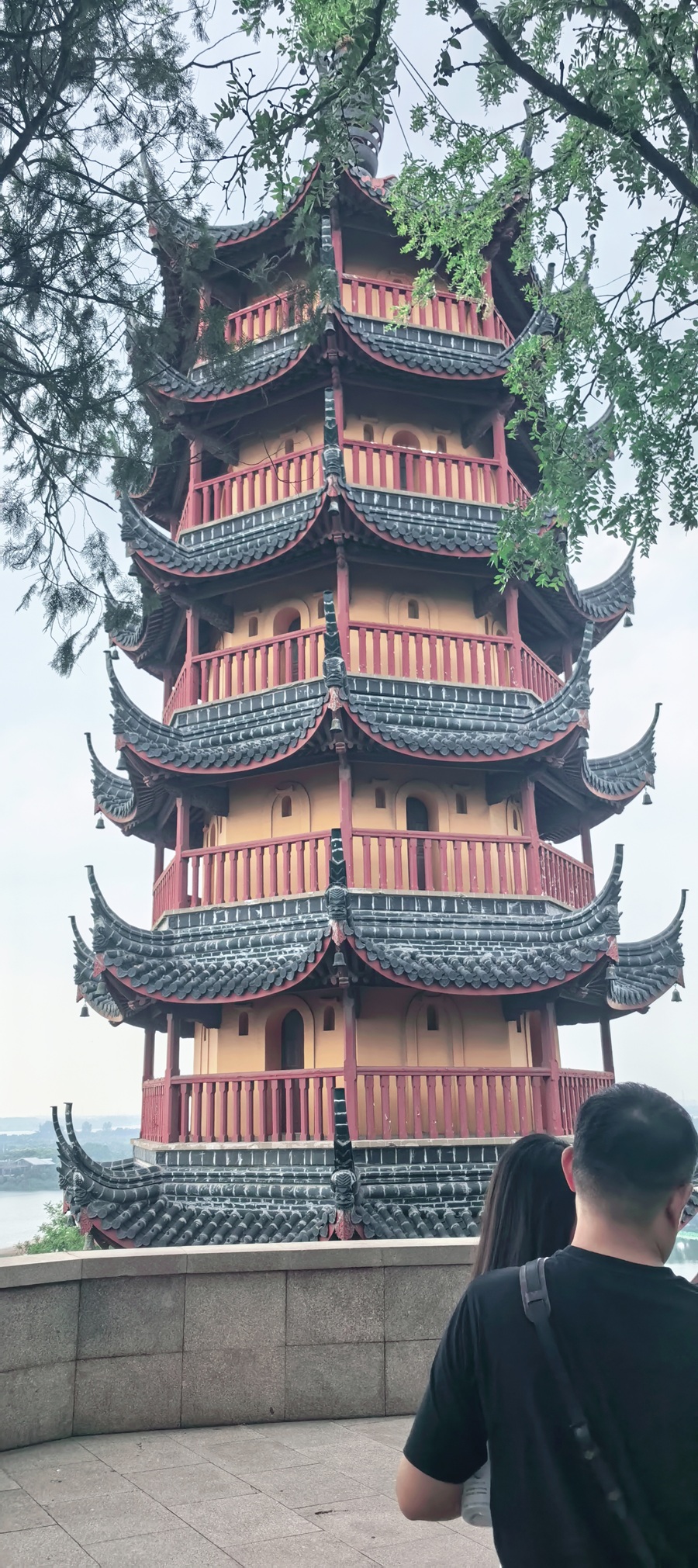 19