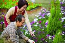 oldgardening