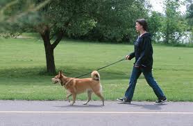 walk